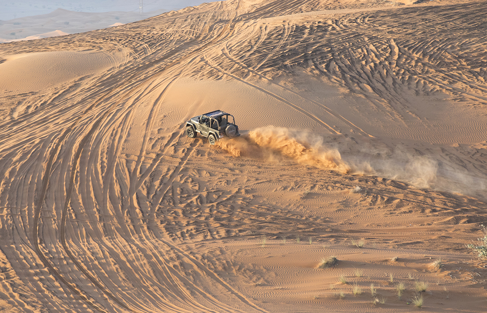 Desert Ride in Dubai